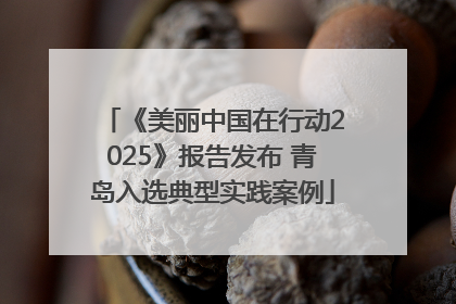 《美丽中国在行动2025》报告发布 青岛入选典型实践案例