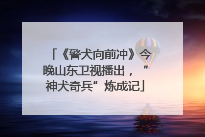 《警犬向前冲》今晚山东卫视播出，“神犬奇兵”炼成记