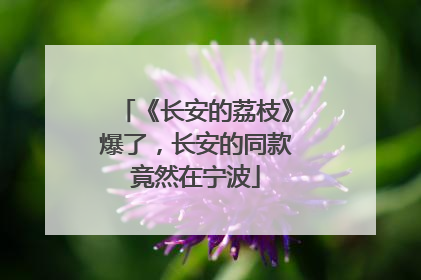 《长安的荔枝》爆了，长安的同款竟然在宁波