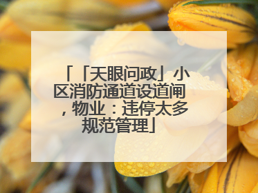 「天眼问政」小区消防通道设道闸，物业：违停太多规范管理