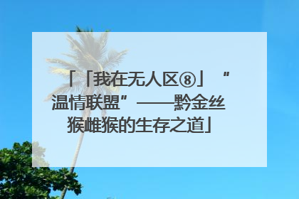 「我在无人区⑧」“温情联盟”——黔金丝猴雌猴的生存之道