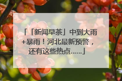 「新闻早茶」中到大雨+暴雨！河北最新预警，还有这些热点……