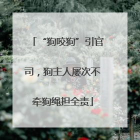 “狗咬狗”引官司，狗主人屡次不牵狗绳担全责