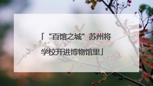 “百馆之城”苏州将学校开进博物馆里
