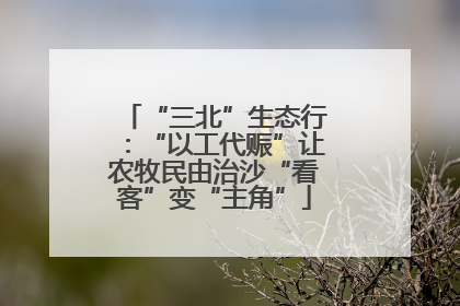 “三北”生态行：“以工代赈”让农牧民由治沙“看客”变“主角”