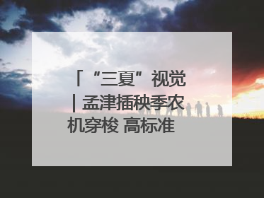 “三夏”视觉｜孟津插秧季农机穿梭 高标准农田披绿装
