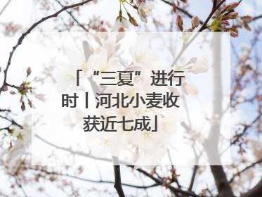 “三夏”进行时丨河北小麦收获近七成