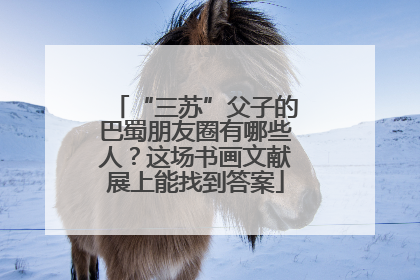 “三苏”父子的巴蜀朋友圈有哪些人？这场书画文献展上能找到答案