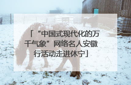 “中国式现代化的万千气象”网络名人安徽行活动走进休宁
