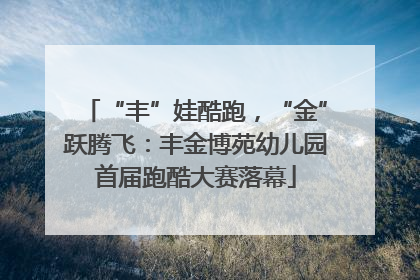 “丰”娃酷跑，“金”跃腾飞：丰金博苑幼儿园首届跑酷大赛落幕