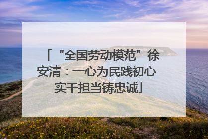 “全国劳动模范”徐安清：一心为民践初心 实干担当铸忠诚