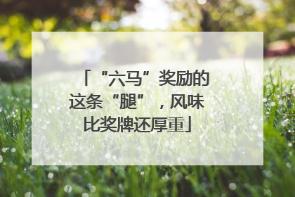 “六马”奖励的这条“腿”，风味比奖牌还厚重