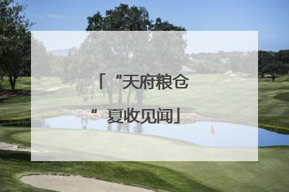 “天府粮仓”夏收见闻