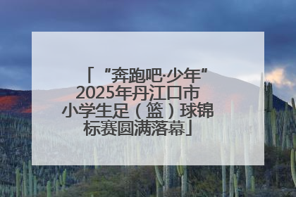 “奔跑吧·少年”2025年丹江口市小学生足（篮）球锦标赛圆满落幕