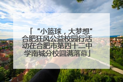 “小篮球，大梦想”合肥狂风公益校园行活动在合肥市第四十二中学南城分校圆满落幕