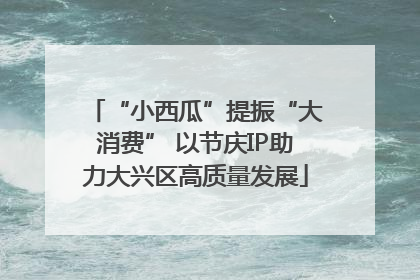 “小西瓜”提振“大消费” 以节庆IP助力大兴区高质量发展