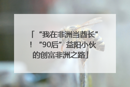 “我在非洲当酋长”！“90后”益阳小伙的创富非洲之路