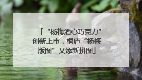 “杨梅酒心巧克力”创新上市，桐庐“杨梅版图”又添新拼图