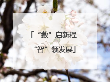 “数”启新程 “智”领发展
