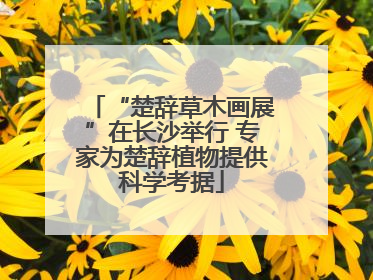 “楚辞草木画展”在长沙举行 专家为楚辞植物提供科学考据