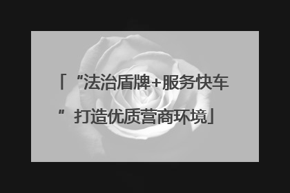“法治盾牌+服务快车”打造优质营商环境