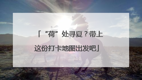 “荷”处寻夏？带上这份打卡地图出发吧