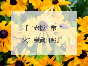 “老板”带“火”宝藏日照