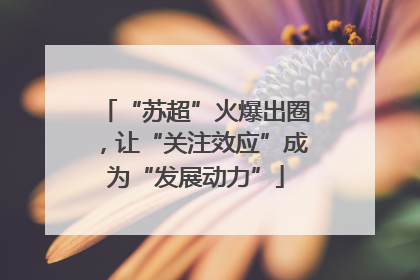 “苏超”火爆出圈，让“关注效应”成为“发展动力”