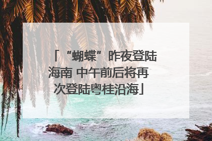 “蝴蝶”昨夜登陆海南 中午前后将再次登陆粤桂沿海