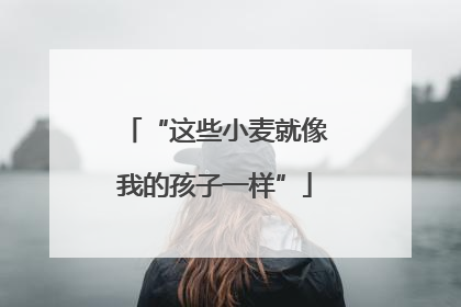 “这些小麦就像我的孩子一样”