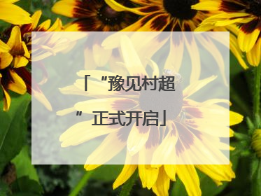 “豫见村超”正式开启