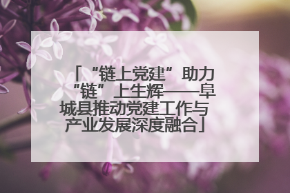 “链上党建”助力“链”上生辉——阜城县推动党建工作与产业发展深度融合