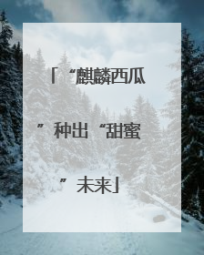 “麒麟西瓜”种出“甜蜜”未来