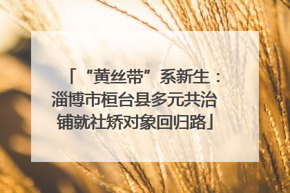 “黄丝带”系新生：淄博市桓台县多元共治铺就社矫对象回归路