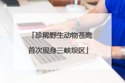 珍稀野生动物苍鹰首次现身三峡坝区
