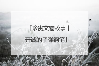 珍贵文物故事丨开诚的子弹钢笔