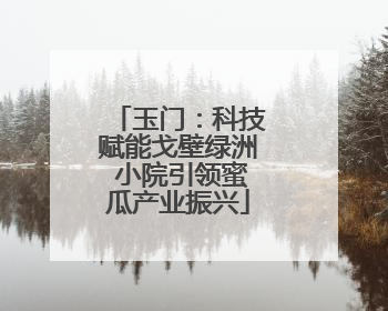 玉门：科技赋能戈壁绿洲 小院引领蜜瓜产业振兴