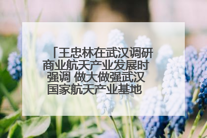 王忠林在武汉调研商业航天产业发展时强调 做大做强武汉国家航天产业基地 打造具有全国影响力的“中国星谷”