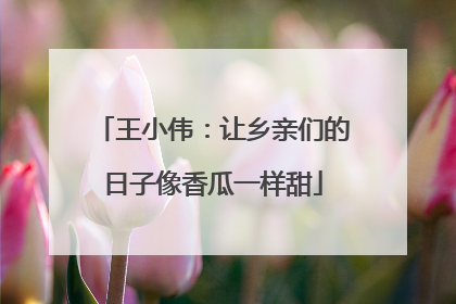 王小伟：让乡亲们的日子像香瓜一样甜