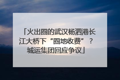 火出圈的武汉杨泗港长江大桥下“圈地收费”？城运集团回应争议