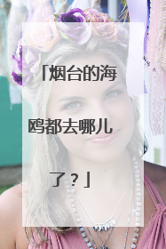 烟台的海鸥都去哪儿了？