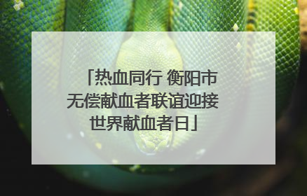 热血同行 衡阳市无偿献血者联谊迎接世界献血者日