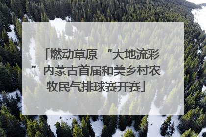燃动草原 “大地流彩”内蒙古首届和美乡村农牧民气排球赛开赛