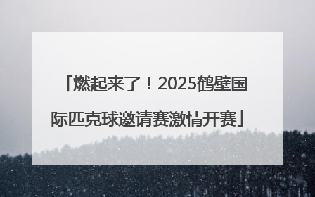 燃起来了！2025鹤壁国际匹克球邀请赛激情开赛