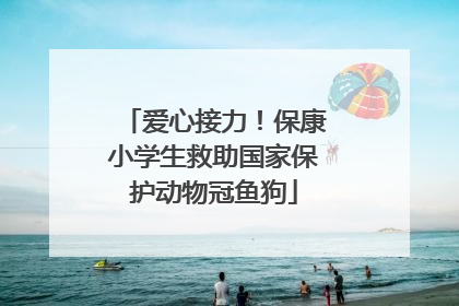 爱心接力！保康小学生救助国家保护动物冠鱼狗