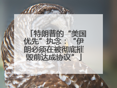 特朗普的“美国优先”执念：“伊朗必须在被彻底摧毁前达成协议”