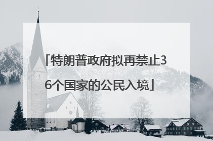 特朗普政府拟再禁止36个国家的公民入境