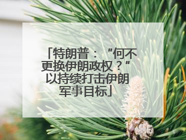 特朗普：“何不更换伊朗政权？” 以持续打击伊朗军事目标