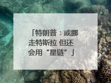 特朗普：或挪走特斯拉 但还会用“星链”