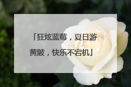 狂炫蓝莓，夏日游黄陂，快乐不宕机